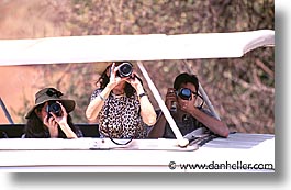 africa, animals, binoculars, horizontal, tanzania, tarangire, views, wild, photograph