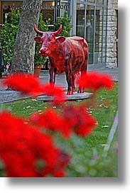 Red Cows