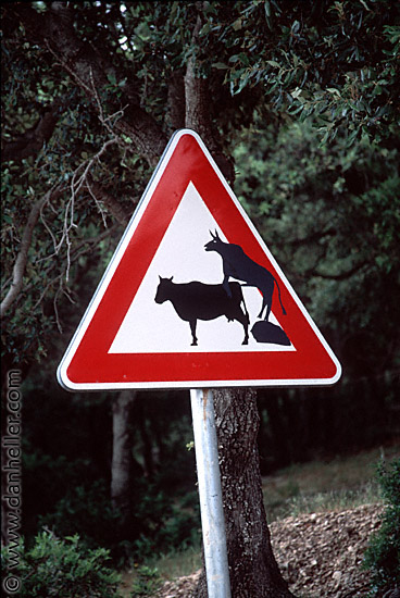 Cow Sign