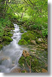 europe, flowing, forests, lush, slovenia, slow exposure, stream, trees, triglavski narodni park, vertical, photograph
