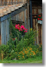 barn, europe, flowers, lucerne, mt rigi, switzerland, vertical, photograph