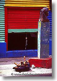 argentina, buenos aires, dogs, la boca, latin america, painted town, sleeping, vertical, photograph