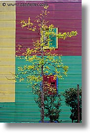 argentina, buenos aires, la boca, latin america, painted, painted town, trees, vertical, walls, photograph