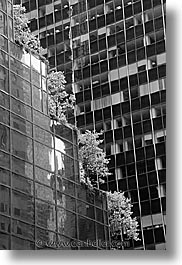 america, black and white, buildings, new york, new york city, north america, trees, united states, vertical, photograph
