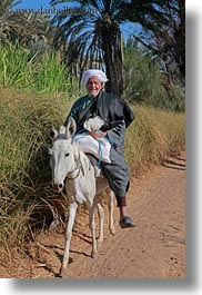 images/Africa/Egypt/AlKab/Village/donkey-n-old-man.jpg