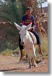 images/Africa/Egypt/AlKab/Village/donkey-w-boy-02.jpg