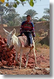 images/Africa/Egypt/AlKab/Village/donkey-w-boy-03.jpg