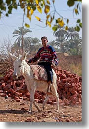 images/Africa/Egypt/AlKab/Village/donkey-w-boy-04.jpg