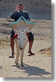 images/Africa/Egypt/AlKab/Village/donkey-w-man-01.jpg