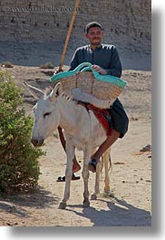 images/Africa/Egypt/AlKab/Village/donkey-w-man-02.jpg