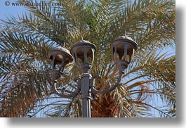 images/Africa/Egypt/AlKab/Village/street-lamp-n-palm_tree.jpg