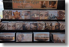 images/Africa/Egypt/Aswan/Misc/walid-elzonfoly-photos-01.jpg