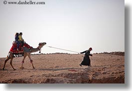 images/Africa/Egypt/Cairo/Camels/camels-01.jpg