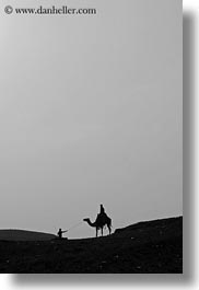 images/Africa/Egypt/Cairo/Camels/camels-05.jpg