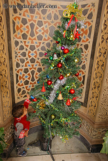 baby-n-xmas-tree-05.jpg