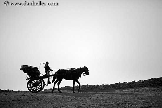 boy-n-horse-n-carriage-01.jpg