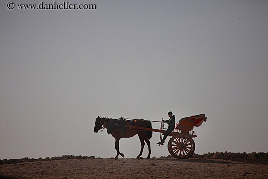 boy-n-horse-n-carriage-02.jpg