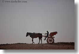 images/Africa/Egypt/Cairo/Horses/boy-n-horse-n-carriage-02.jpg
