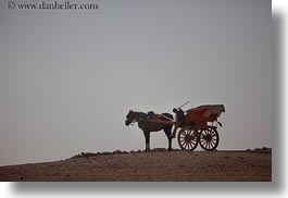 images/Africa/Egypt/Cairo/Horses/boy-n-horse-n-carriage-03.jpg