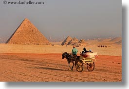 images/Africa/Egypt/Cairo/Horses/horse-n-carriage-n-pyramid-01.jpg