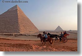 images/Africa/Egypt/Cairo/Horses/horse-n-carriage-n-pyramid-02.jpg