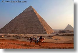 images/Africa/Egypt/Cairo/Horses/horse-n-carriage-n-pyramid-03.jpg