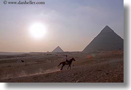 images/Africa/Egypt/Cairo/Horses/horse-n-pyramids-01.jpg