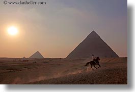 images/Africa/Egypt/Cairo/Horses/horse-n-pyramids-02.jpg