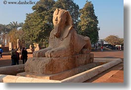 images/Africa/Egypt/Cairo/Memphis/sphinx-02.jpg