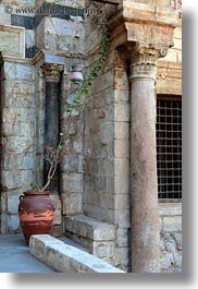 images/Africa/Egypt/Cairo/Mosques/BarqukMosque/potted-plant-01.jpg
