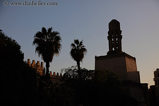 mosque-n-palm-trees.jpg