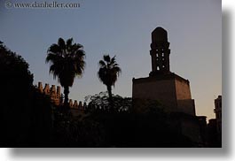 images/Africa/Egypt/Cairo/OldTown/mosque-n-palm-trees.jpg