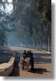 images/Africa/Egypt/Cairo/People/children-on-horse-carriage.jpg