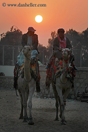 men-on-camels-n-sun-02.jpg