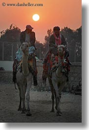 images/Africa/Egypt/Cairo/People/men-on-camels-n-sun-02.jpg