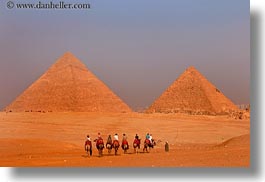 images/Africa/Egypt/Cairo/Pyramids/pyramids-n-camels-02.jpg