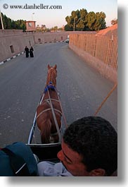 images/Africa/Egypt/Edfu/horse-n-driver-downview-01.jpg