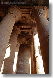 images/Africa/Egypt/Edfu/pillars-upview-03.jpg