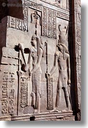 images/Africa/Egypt/KomOmboTemple/egyptian-gods-01.jpg