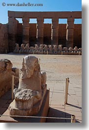 images/Africa/Egypt/Luxor/KarnakTemple/marble-sphinx-03.jpg