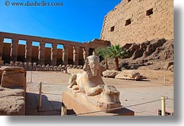 images/Africa/Egypt/Luxor/KarnakTemple/marble-sphinx-04.jpg