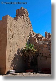 images/Africa/Egypt/Luxor/KarnakTemple/palm_tree-n-bas_relief-wall-01.jpg