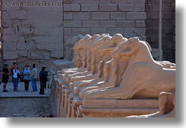images/Africa/Egypt/Luxor/KarnakTemple/row-of-rams-01.jpg