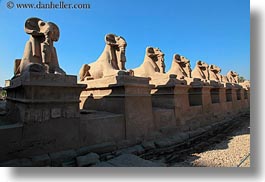 images/Africa/Egypt/Luxor/KarnakTemple/row-of-rams-04.jpg