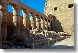images/Africa/Egypt/Luxor/KarnakTemple/row-of-rams-05.jpg