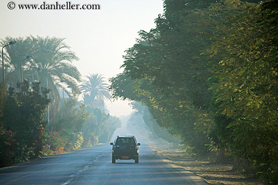 foggy-road-n-car.jpg