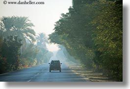 images/Africa/Egypt/Luxor/Scenics/foggy-road-n-car.jpg
