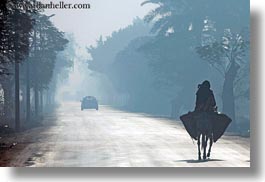 images/Africa/Egypt/Luxor/Scenics/foggy-road-n-mule-walking.jpg