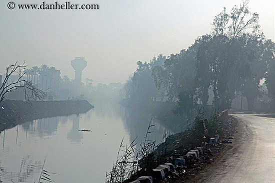 foggy-road-n-trees-05.jpg