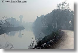images/Africa/Egypt/Luxor/Scenics/foggy-road-n-trees-05.jpg